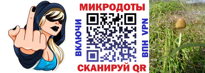 где найти наркотики  Кириллов  Псилоцибиновые грибы Magic Shrooms 